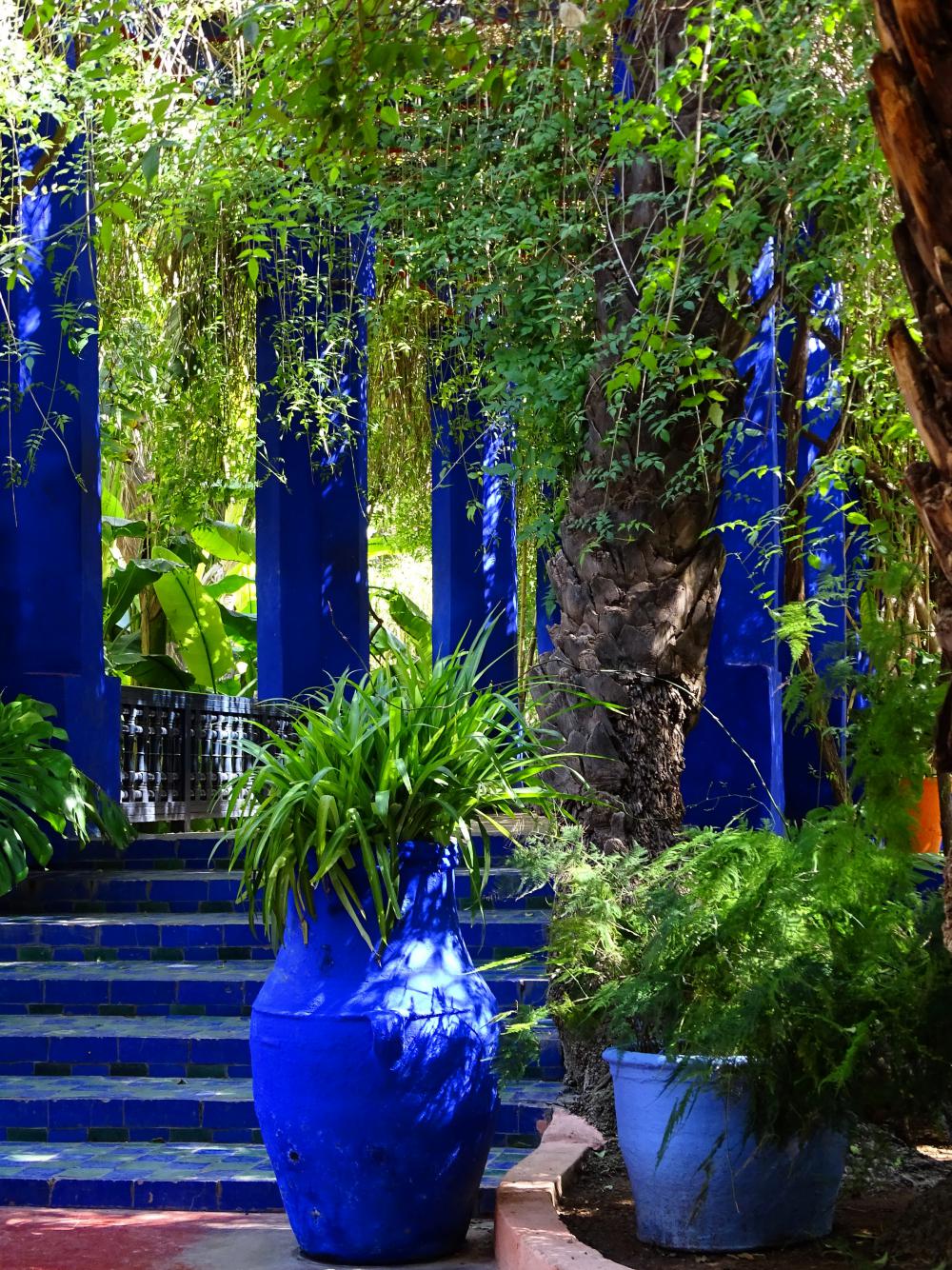 The Jardin Majorelle in Marrakech